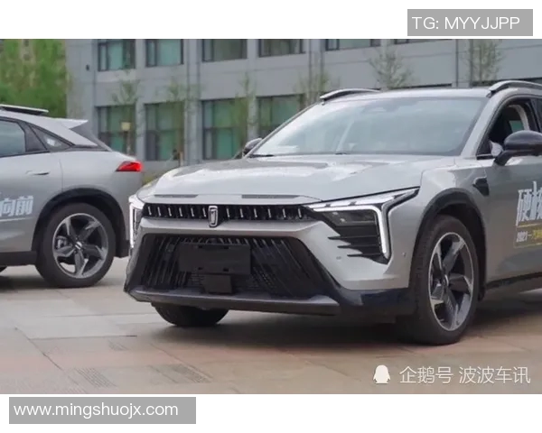 小鹰包的魅力与实用性探讨让你在生活中尽显个性与风格