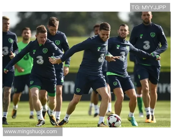 格鲁吉亚与爱尔兰足球赛前瞻分析及双方实力对比探讨