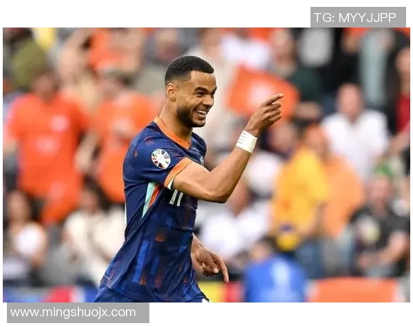 罗马尼亚与荷兰精彩对决全场录像回放及精彩瞬间分析